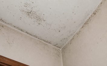 Sell a South Carolina house with mold for cash